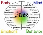 Management of Workplace Stress